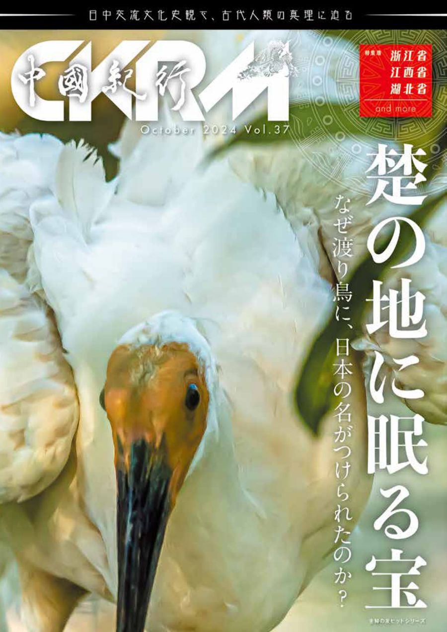 第37号 表紙